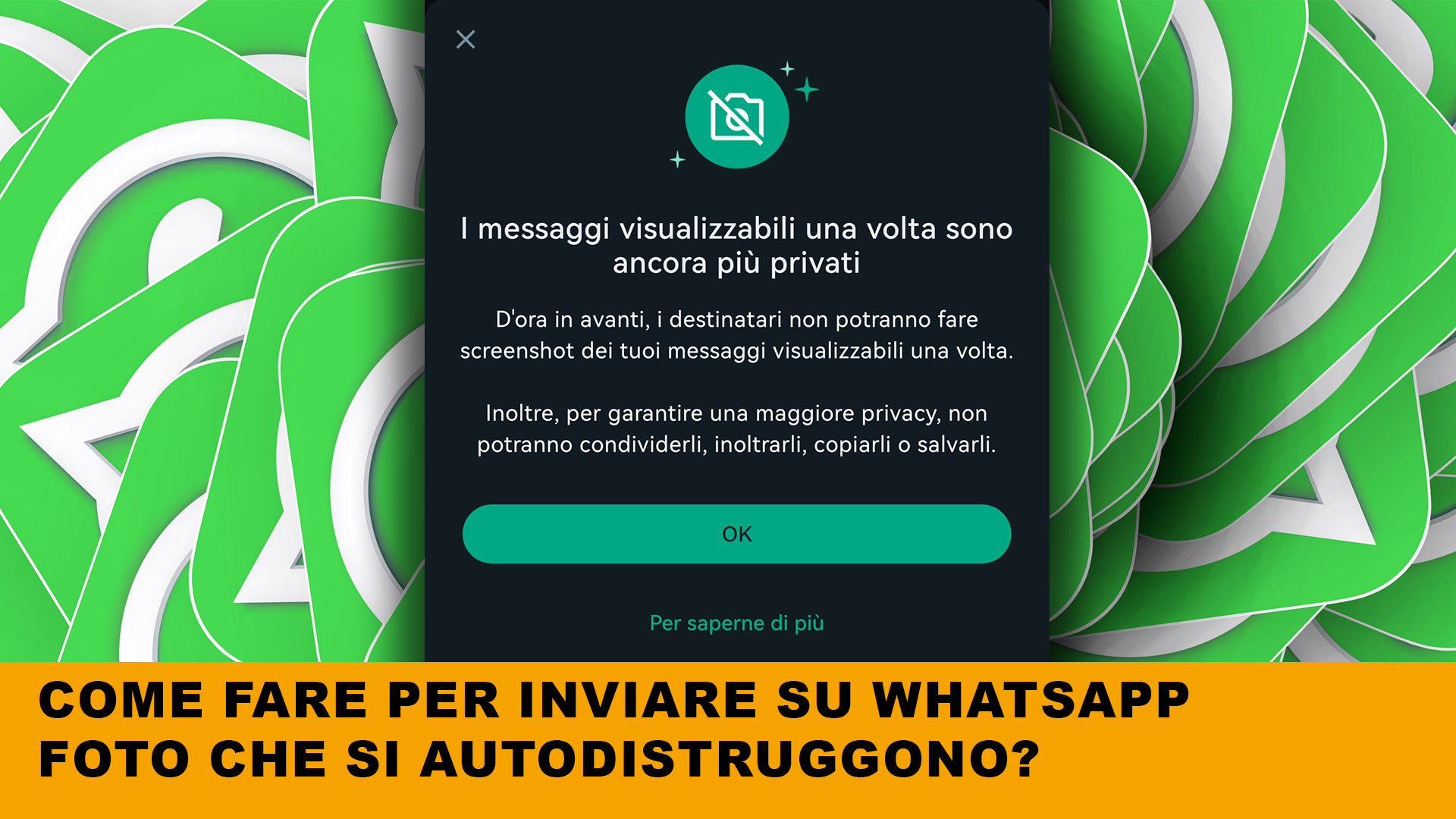 Come Inviare Foto Che Si Autodistruggono Su Whatsapp